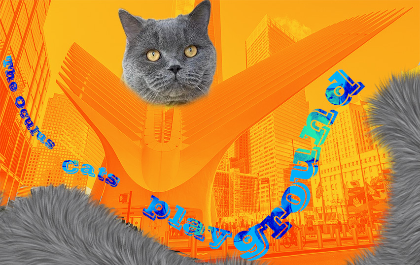 A composite image of a cat using the Oculus mall as his playground 